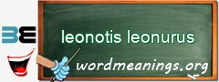 WordMeaning blackboard for leonotis leonurus